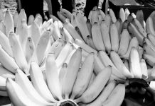 Lambunao eyes to revive banana industry Lambunao, Iloilo’s "Banana O'Clock" time hopes to raise awareness among residents about the agricultural product that was tagged as the One Town, One Product of the municipality. PCAARRD.DOST.GOV.PH PHOTO