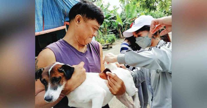 dog-vaccine The municipality of Santa Barbara, Iloilo started vaccinating dogs against rabies on March 2. The provincial government of Iloilo targets vaccinating at least 215,000 heads out of the total 314,494 dogs by the end of April. NEV SON/ILOILO PVO PHOTO