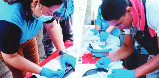 Local fish farmers in Guimaras province were having hands-on training on the induced spawning of catfish and mudfish during a two-day seminar-workshop on the breeding of freshwater species. POAS GUIMARAS FACEBOOK PAGE