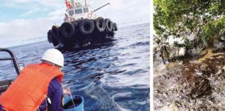 (Left) The Philippine Coast Guard conducts assessment of the oil spill and collects oil from the waters of Naujan, Oriental, Mindoro. The oil spill was caused by the sunken MT Princess Empress/PHILIPPINE COAST GUARD PHOTO. (Right) Oil spill stranding was observed in the shoreline of Sitio Sabang, Barangay Tinogboc, Caluya, Antique on Friday, March 3. It has affected mangroves in the area/NOR’Z MORANTE PHOTO.
