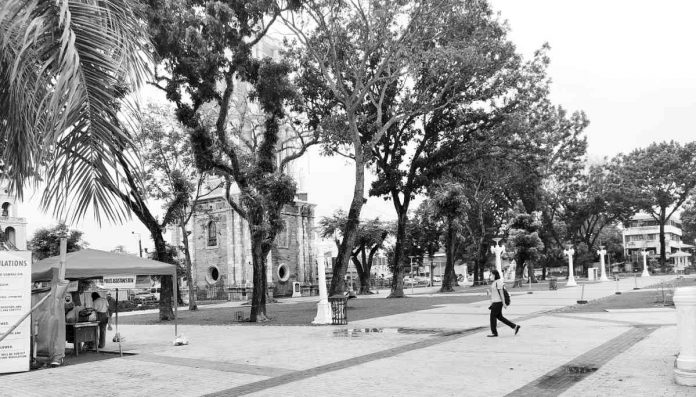 jaro plaza Twenty-six trees giving shade to plaza-goers in Jaro, Iloilo City will be cut down as part of the ongoing rehabilitation. Although all are non-endemic and non-protected species, replacement seedlings will be planted. AJ PALCULLO/PN
