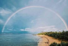 Redefining the Resort Experience: The Power of Satellite Internet Connectivity in Remote Areas