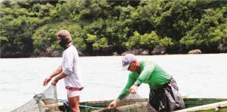 Lambaklad is a fishing method using nets and ropes instead of bamboo poles laid down in a deep portion of the sea. PRDP.DA.GOV.PH PHOTO