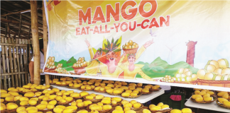 Feast on mouth-watering Guimaras mangoes during the Manggahan Festival’s “Mango-Eat-All-You-Can” from May 19 to 22, 2023. PN File Photo