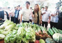 Urban farming eyed to address high food prices President Ferdinand Marcos Jr. visits the Kadiwa caravan at the Cebu Provincial Capitol grounds on Feb. 27, as the President expands the farm-to-market caravan to other regions. MARIANNE BERMUDEZ, PPA POOL PHOTO