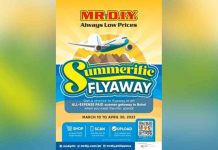 MR.D.I.Y. will take you to sunny, beautiful Bohol this Summer!