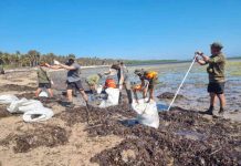 Philippine Coast Guard (PCG) District Western Visayas personnel collect 190 sacks of oil sludge from oil spill-affected areas in Caluya, Antique. Photo shows the coastal cleanup in Sitio Sabang, Barangay Tinogboc, Caluya. PCG-WESTERN VISAYAS PHOTO