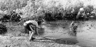 The Philippine Coast Guard (PCG) Maritime Environmental Protection Force Western Visayas, PCG-Semirara substation, and barangay officials collect oil sludge in Barangay Tinogboc, Caluya, Antique. COAST GUARD DISTRICT WESTERN VISAYAS
