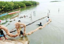 Caluya LGU: We need materials for oil spill boom The local government of Caluya calls for donation of materials for improvised oil spill booms. As of yesterday, three areas of the town were affected. MDRRMO - CALUYA OFFICIAL