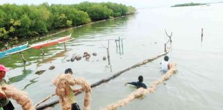The local government of Caluya calls for donation of materials for improvised oil spill booms. As of yesterday, three areas of the town were affected. MDRRMO - CALUYA OFFICIAL