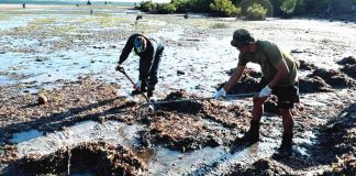 Cleanup operations continue in oil spill-affected areas in Caluya, Antique. The oil spill was caused by the sunken MT Princess Empress in Oriental Mindoro. The sunken oil tanker and its owner could be liable. OCD-6 PHOTO