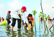 SMPC employees, together with the Philippine Coast Guard and Barangay Semirara locals, plant 1,500 mangrove seedlings in Barangay Semirara, Antique in celebration of Earth Day 2023.