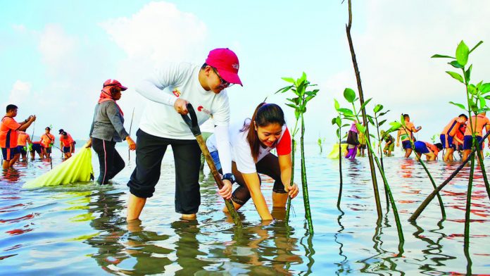 SMPC employees, together with the Philippine Coast Guard and Barangay Semirara locals, plant 1,500 mangrove seedlings in Barangay Semirara, Antique in celebration of Earth Day 2023.
