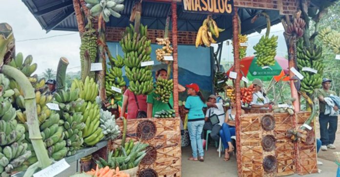 Banana fest Barangay Masulog displays several banana varieties in the ongoing Banana Festival of La Castellana, Negros Occidental. The five-day event, which kicked off Saturday, April 1, was held for the first time at the Mandayao Panorama Park. PNA PHOTO BY NANETTE L. GUADALQUIVER