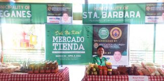 Local products of eight towns from the 2nd District of Iloilo province are on sale at the Mercado Tienda in Bucari, Leon town until April 9. IME SORNITO/PN