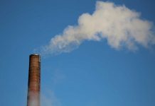 PH urged to roll out carbon pricing to cut emissions Photo by Anne Nygård on Unsplash