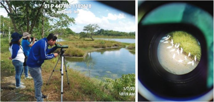 birds3 Left photo shows the staff of the Community Environment and Natural Resources Office of Guimbal, Iloilo use binoculars and spotting scope as they count waterbirds flocking in a wetland at Hinactacan, La Paz, Iloilo City. Right photo shows a flock of egrets captured through the spotting scope. DENR-6 PHOTO