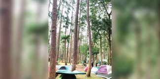 The Municipal Tourism Office assures tourists of their security and safety when visiting the Bucari Pine Forest Campsite in Sitio Tabionan, Barangay Bucari, Leon, Iloilo this Holy Week. IME SORNITO/PN