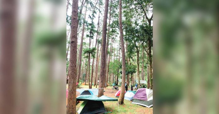 bucari The Municipal Tourism Office assures tourists of their security and safety when visiting the Bucari Pine Forest Campsite in Sitio Tabionan, Barangay Bucari, Leon, Iloilo this Holy Week. IME SORNITO/PN