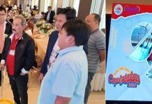1st Capiz Investors’ Forum gathers national, multinational investors Capiz’s Gov. Fredenil Castro and Roxas City’s Mayor Ronnie Dadivas led the officials of the provincial and city governments in receiving the guests and participants of the first-ever Capiz Investors' Forum. PHOTO COURTESY OF PIA