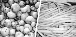 The Department of Agriculture Region 6 said this year’s Filipino Food Month celebration’s theme, “Pagkaing Sariling Atin, Mahalin at Pagyamanin,” centers on the importance of culinary dishes and indigenous ingredients like batwan (left photo) and takway (right photo) that are still abundant in Western Visayas. FLAVOURS OF ILOILO PHOTO