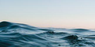 Photo by Matt Hardy on Unsplash