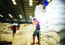 NFA proposes to import 330,000 MT of rice The National Food Authority is planning to import rice in anticipation of calamities. DA COMMUNICATIONS GROUP PHOTO