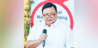 A podcar transport system is being eyed in Iloilo City. Mayor Jerry P. Treñas says the more alternative modes of transport are available, the better for the Ilonggos. ILOILO CITY MAYOR’S OFFICE PHOTO