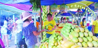 Hundreds of tourists, local and foreign, flock to the island province of Guimaras to taste the country’s “sweetest” mangoes during the Manggahan Festival. Yesterday, May 22, Guimaras also celebrated the 31st anniversary of its provincehood. SWEETNESS THAT ATTRACTS