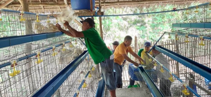 Antique_farmers_resized Nearly P1 million worth of inputs for egg production were given by the Department of Labor and Employment to farmers in Patnongon, Antique. DOLE-6 PHOTO