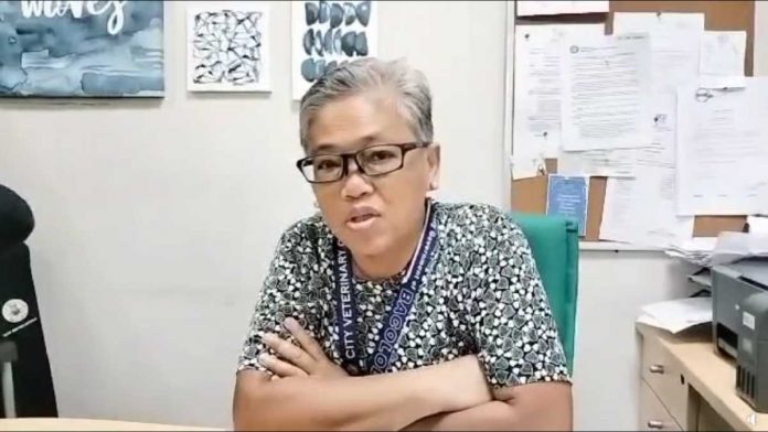 Dela Torre Veterinarian Maria Agueda Trinidad Dela Torre encourages hog raisers in Bacolod to immediately report if their hogs show signs of hog cholera for the City Veterinary Office to conduct confirmatory tests. MAE SINGUAY/PN