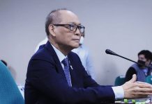 Maharlika fund to be operational next year DIOKNO. DOF PHOTO