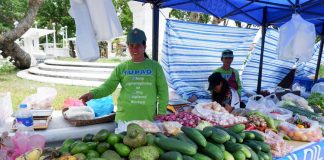 The Department of Labor and Employment in Region 6 opened the Kadiwa ng Pangulo Para sa Manggagawa on April 25 at the Molo Plaza in Iloilo City. Kadiwa stores enable farmers to sell directly to consumers and remove market layers to make agri-fishery products accessible at affordable prices. PHILIPPINE INFORMATION AGENCY REGION 6 PHOTO