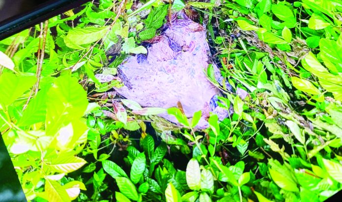 Pototan_missing_resized The 35-year-old Dave Ablanzar, a member of the LGBTQ community, was found dead in Dingle, Iloilo on Monday afternoon, May 15, days after he was reported missing. BOMBO RADYO ILOILO
