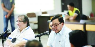 Iloilo City’s Mayor Jerry Treñas discusses the power concerns of Western Visayas with key energy sector stakeholders such as the Department of Energy, National Grid Corp. of the Philippines, and generation and distribution utilities during the Regional Development Council 6’s Infrastructure and Development Committee meeting. ILOILO CITY MAYOR’S OFFICE PHOTO