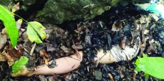 A 34-year-old woman believed to be a rape victim was found dead in Tibiao, Antique on Monday, May 22. GING AGUSTIN FACEBOOK