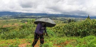 Early completion of land distribution for remaining WV agrarian reform areas pushed A Talaandig woman tills land in Barangay Miarayon, Talakag, Bukidnon in this undated photo. FROILAN GALLARDO/ABS-CBN NEWS PHOTO