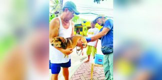 The Iloilo Provincial Veterinary Office is urging owners to have their pets vaccinated against rabies. Iloilo recently logged another human death due to rabies. OFFICE OF THE CITY VETERINARIAN