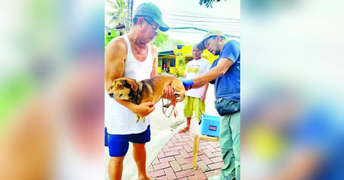 The Iloilo Provincial Veterinary Office is urging owners to have their pets vaccinated against rabies. Iloilo recently logged another human death due to rabies. OFFICE OF THE CITY VETERINARIAN