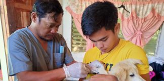 Personnel of the Municipal Agriculture Office (MAO) of Carles, Iloilo vaccinates a dog in Sicogon Island. The Provincial Veterinary Office and MAO-Carles conduct an anti-rabies vaccination, dog neutering and deworming of pets and stray dogs in the island barangays. ILOILO PVO PHOTO