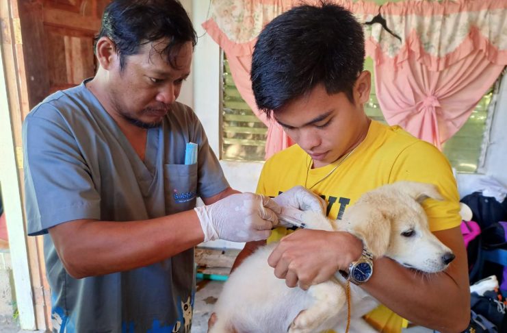 Personnel of the Municipal Agriculture Office (MAO) of Carles, Iloilo vaccinates a dog in Sicogon Island. The Provincial Veterinary Office and MAO-Carles conduct an anti-rabies vaccination, dog neutering and deworming of pets and stray dogs in the island barangays. ILOILO PVO PHOTO