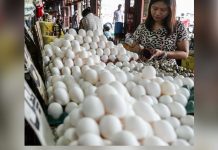 Egg producers lament decline in egg prices The Department of Agriculture is again looking at assisting the local egg industry in exporting the excess supply to markets such as Taiwan and nearby countries. PHOTO COURTESY OF ABS-CBN NEWS