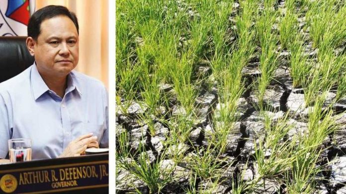 front pic and caption (1) Gov. Arthur Defensor Jr. (left photo) says the Iloilo provincial government will prioritize irrigation systems that serve as water sources for small-scale farmers as part of the preparationa for the effects of the El Niño phenomenon. Right photo shows rice paddies that cracked due to lack of water. BALITA HALIN SA KAPITOLYO FB PHOTO; DA-AFID PHOTO