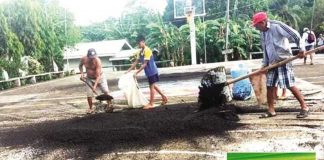 Residents of Barangay Aglosong, Concepcion, Iloilo shovel sacks of rice black bugs. Bright lights at the basketball court attract rice black bugs. VELMA CAICTEN PHOTO