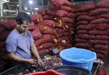 DA mulls importing onions to lower cost A vendor arranges the red onions at a stall inside the Balintawak Market in Quezon City. The Department of Agriculture will consider importing onions for price stability purposes. PNA PHOTO BY JOEY O. RAZON