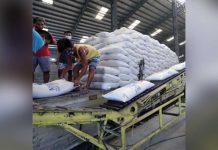 Workers unload sacks of rice at a National Food Authority warehouse in this undated photo. Data from the Department of Agriculture shows the total supply of rice in the country is estimated to be at 9.109 million metric tons for the first half of the year. PHOTO COURTESY OF PNA