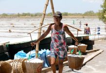 A worker walks away with two baskets of salt from a farm in Barangay Banog Norte, Bani, Pangasinan. The province is one of the country’s top producers of salt. PNA PHOTO BY JOEY O. RAZON