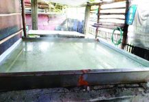 Shared service facilities to enhance salt making in Antique An open pan salt production in Belison, Antique is seen in this photo. Department of Trade and Industry - Antique director Lynna Joy Cardinal said they are proposing open pan salt production under their shared service facility to enable the production of salt even during rainy days. PHOTO COURTESY OF DTI-ANTIQUE