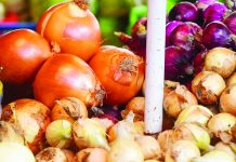 The supply of white onions in the Philippines can last until September this year, according to the Bureau of Plant Industry. PHOTO COURTESY OF ABS-CBN NEWS