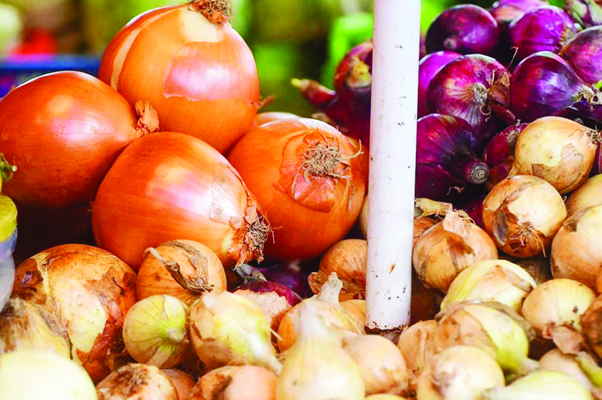 Gov’t urged to import white onions by July